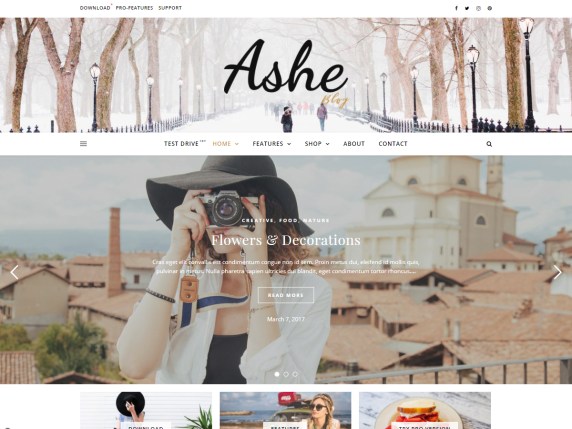 Free Feminine WordPress Themes