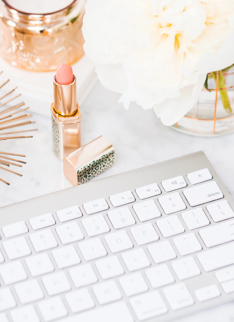 blog income reports