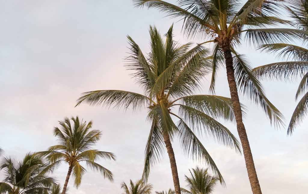 50 Blog Post Ideas for Travel Bloggers