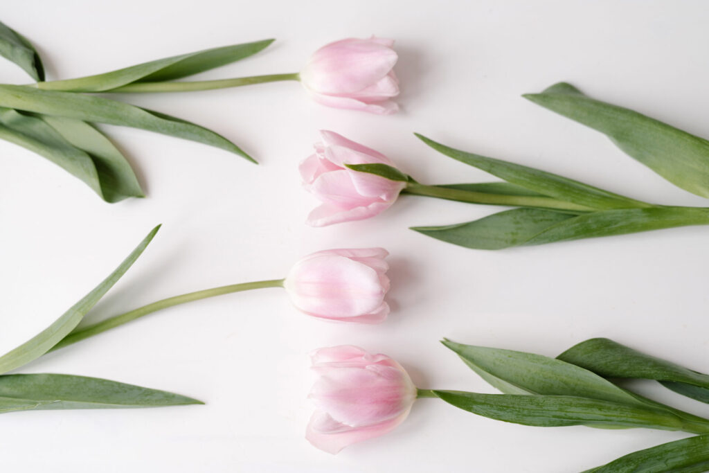 March Blog Post Ideas