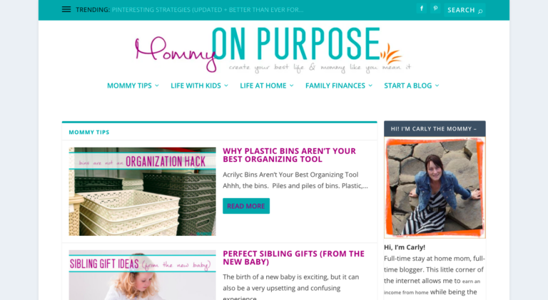 30-examples-of-blogs-successful-blog-examples-for-2024-blogging-her-way