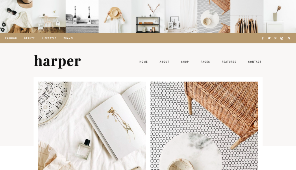 Best WordPress Themes for Bloggers