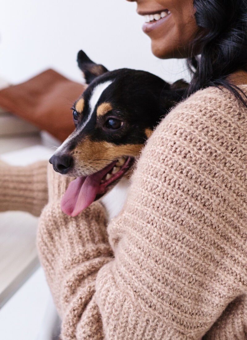 Pet Blog Post Ideas