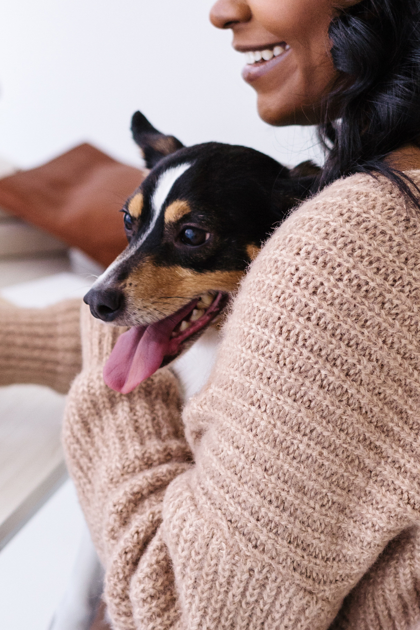 50 Blog Post Ideas for Pet Bloggers - Blogging Her Way